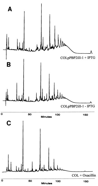 FIG. 5