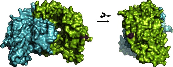 Fig. 5