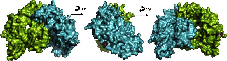 Fig. 4