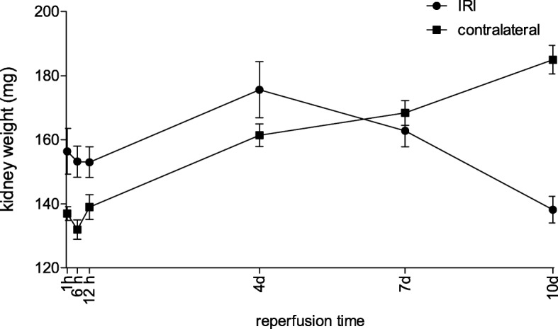 Fig. 9