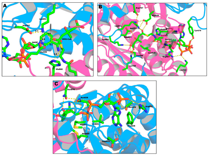 Figure 10