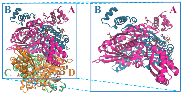 Figure 6