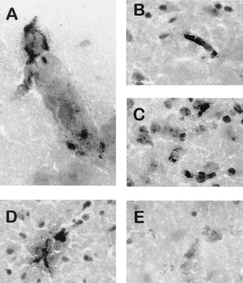 FIG. 7