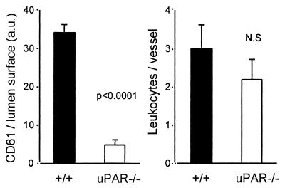 FIG. 8