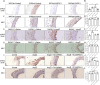Figure 6: