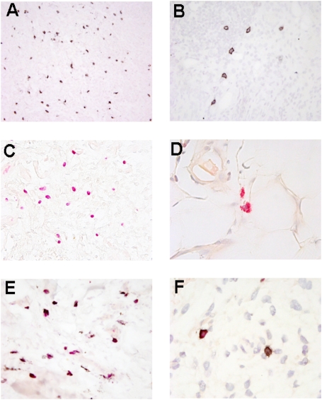 Fig. 8.