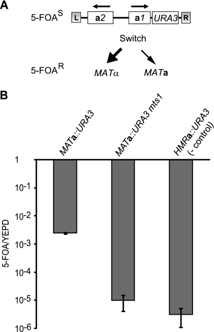 Fig. 1.