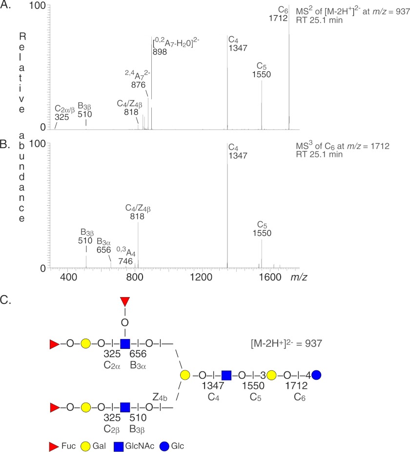 FIGURE 5.