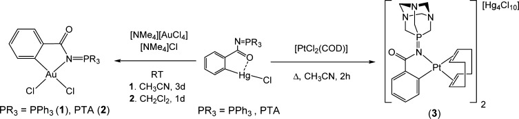 Scheme 2