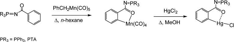 Scheme 1