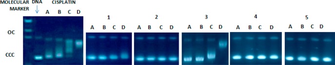 Figure 13