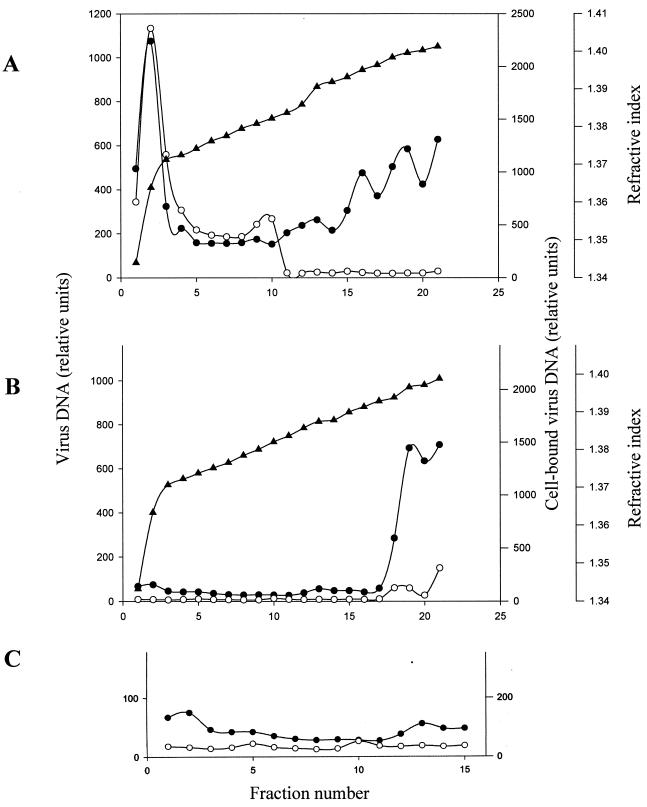 FIG. 7