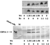 FIG. 8