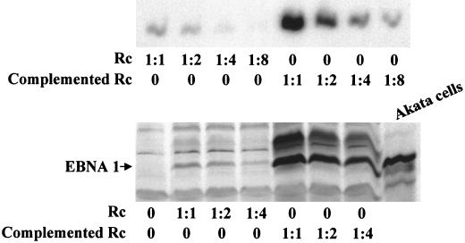 FIG. 10