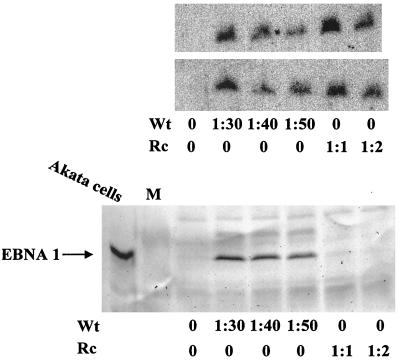 FIG. 8