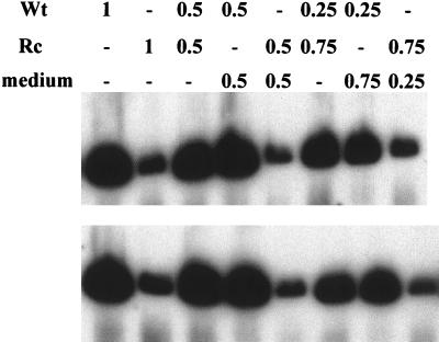 FIG. 6