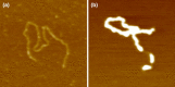 Fig. 8