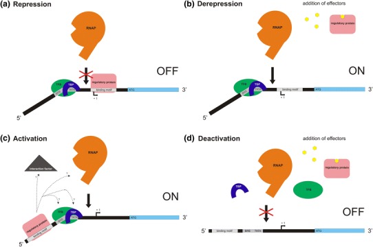 Fig. 3