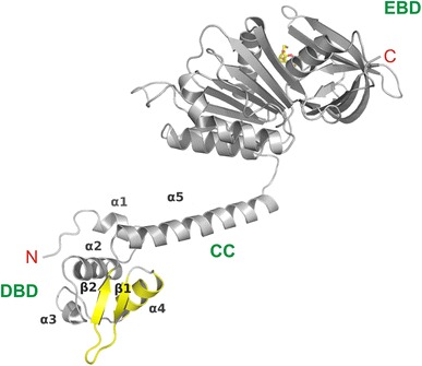 Fig. 4