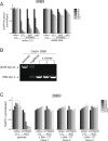 Figure 4—figure supplement 1.