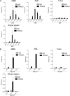 Figure 2—figure supplement 2.