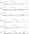 Figure 2—figure supplement 1.