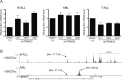 Figure 4—figure supplement 2.