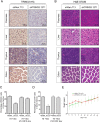 Figure 1—figure supplement 2.