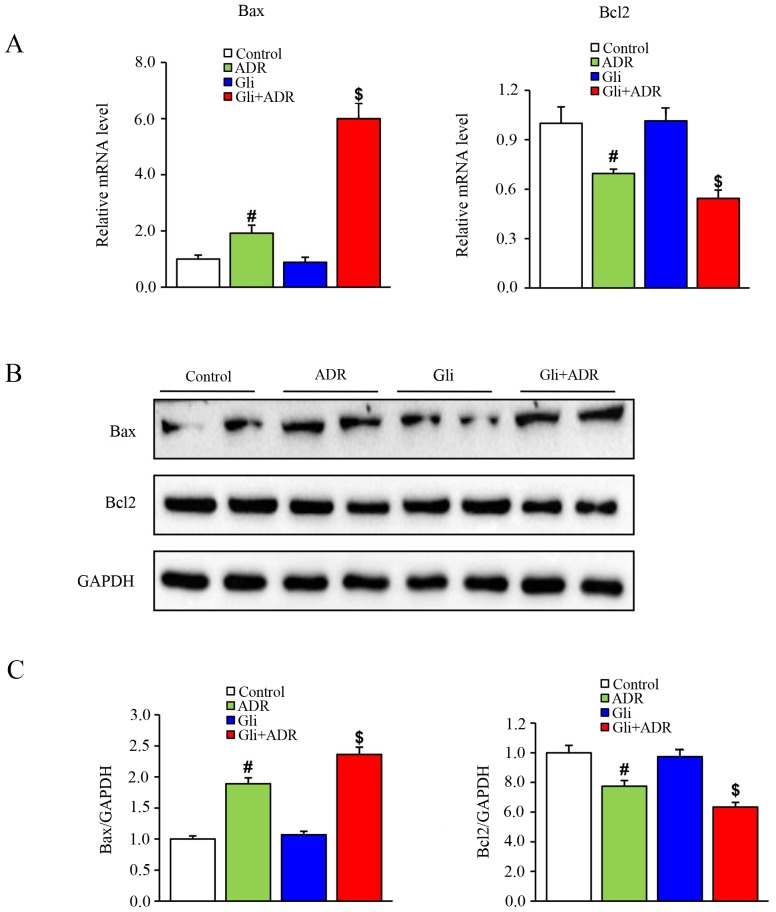 Figure 5.