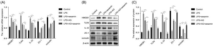 Figure 5.