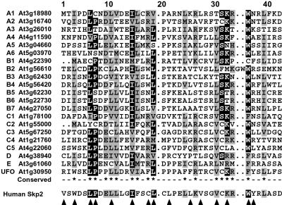 Fig 2.