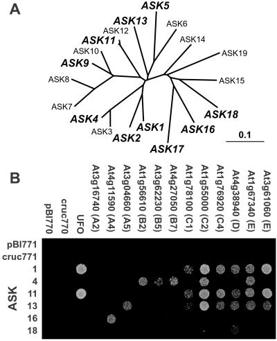 Fig 6.