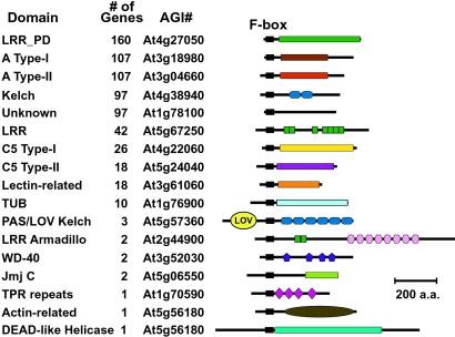 Fig 3.