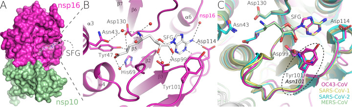 FIG 3