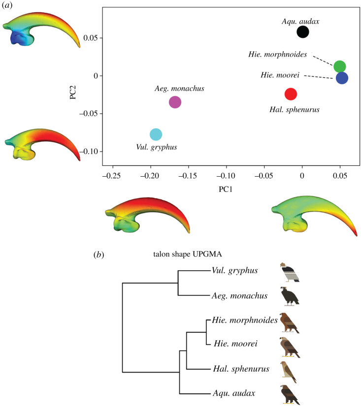 Figure 3. 