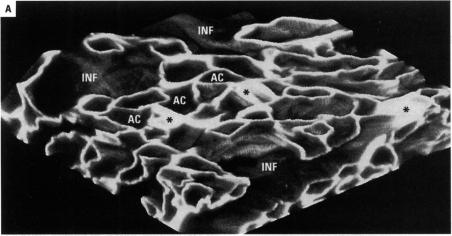 Figure 5. A