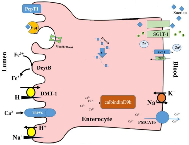 Figure 2