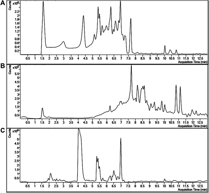 FIGURE 1