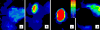 Fig. 4