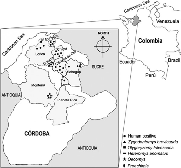 Distribution of 24 antibody-positive humans and of rodent species captured