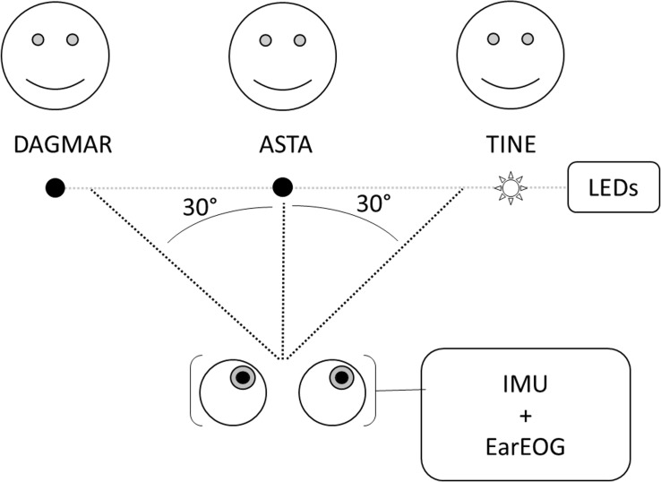 FIGURE 1