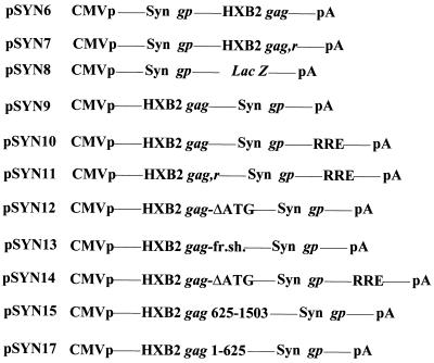 FIG. 6