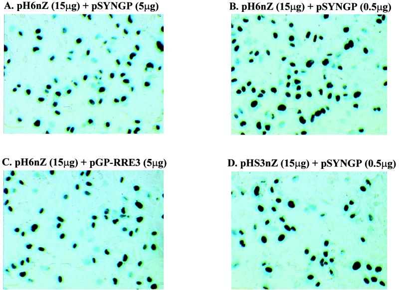 FIG. 10