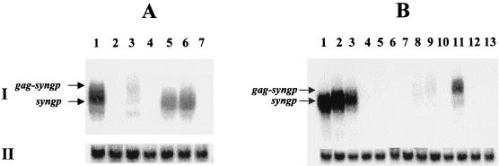 FIG. 7