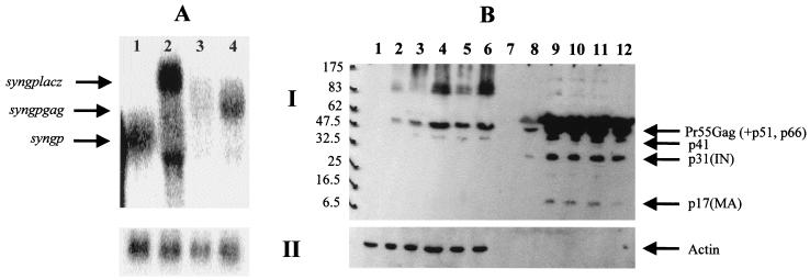 FIG. 5