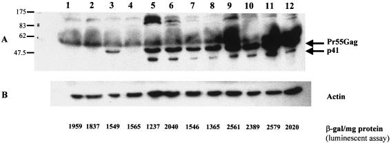 FIG. 8