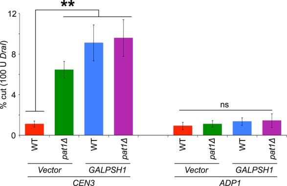 FIGURE 6: