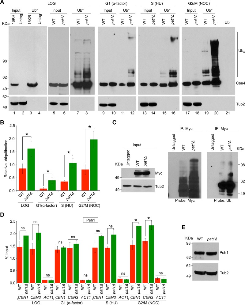 FIGURE 1: