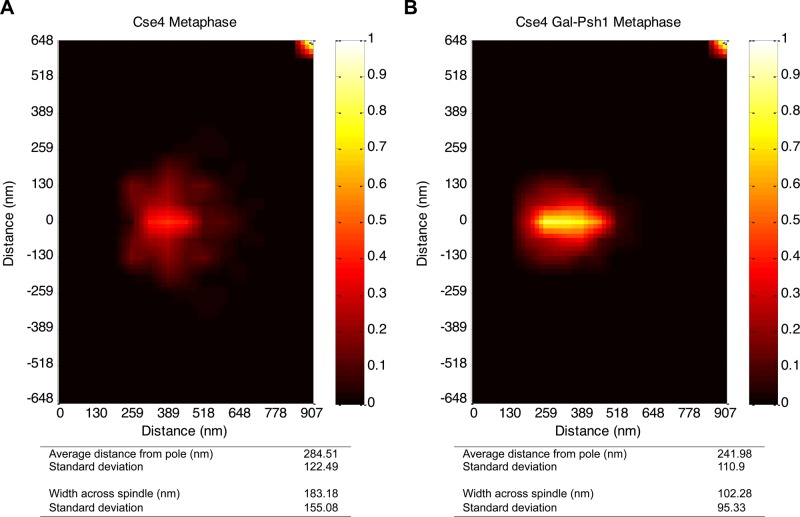 FIGURE 7: