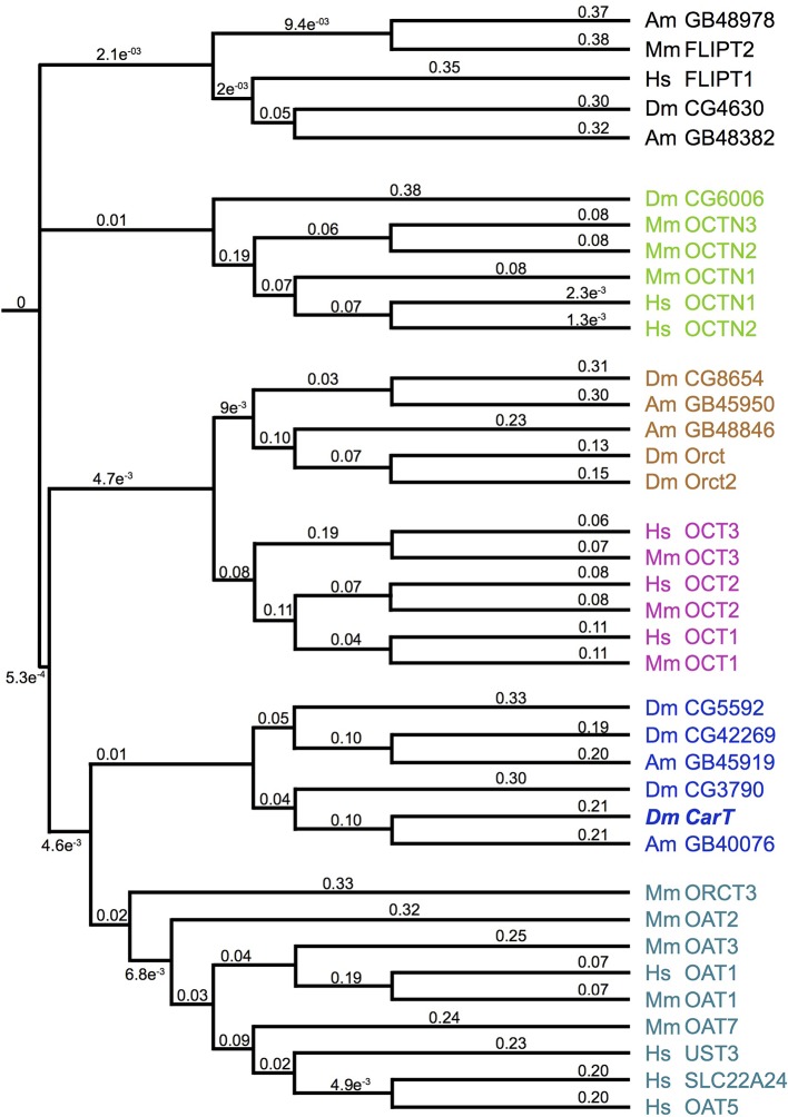 Figure 2—figure supplement 1.